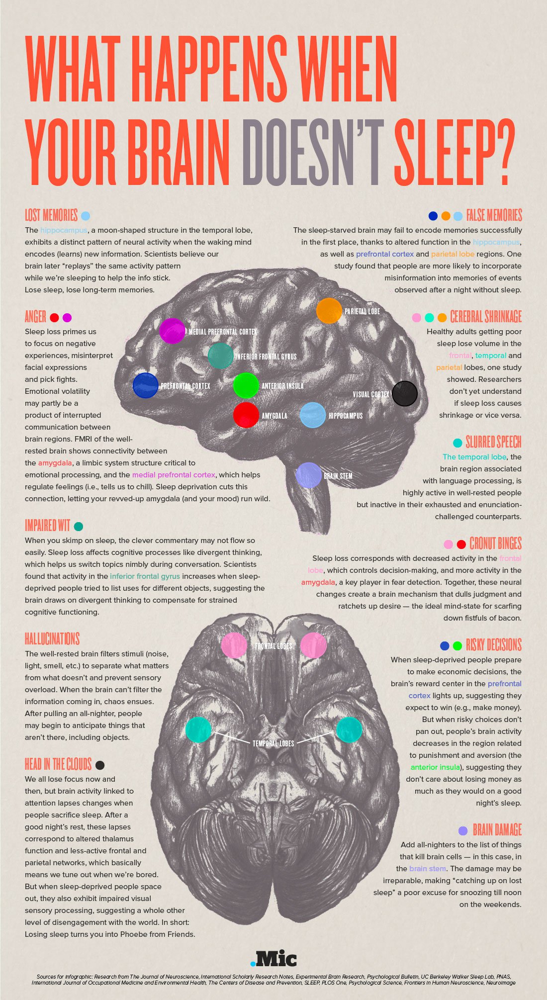 Sleep deprivation and your brain