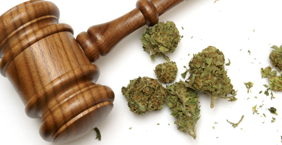 Florida Medical Marijuana Laws