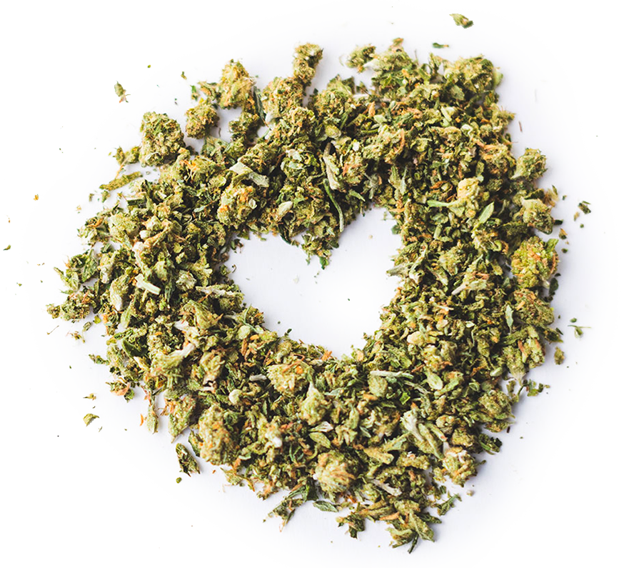 heart-shaped marijuana buds