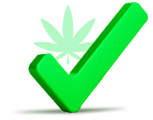 Florida MMJ Approved