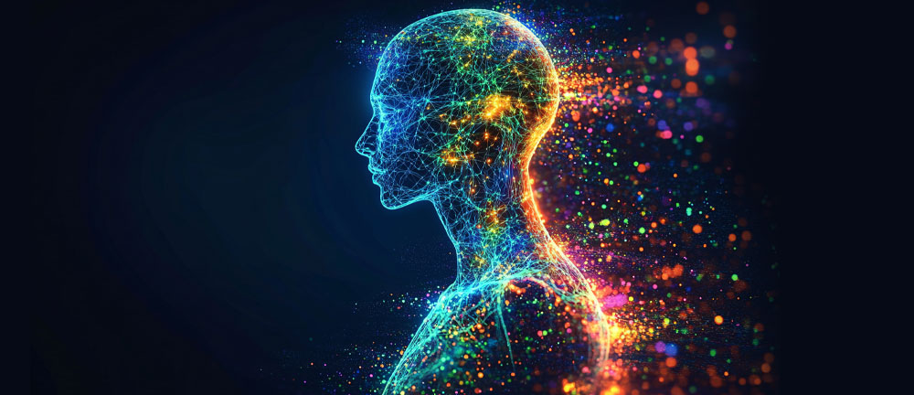 The endocannabinoid system (ECS)