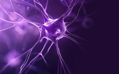 Medical Cannabis as a Treatment for Epilepsy